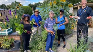 News from the Community Allotment Plot